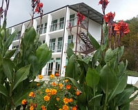 Санаторий Мечта (Пицунда)