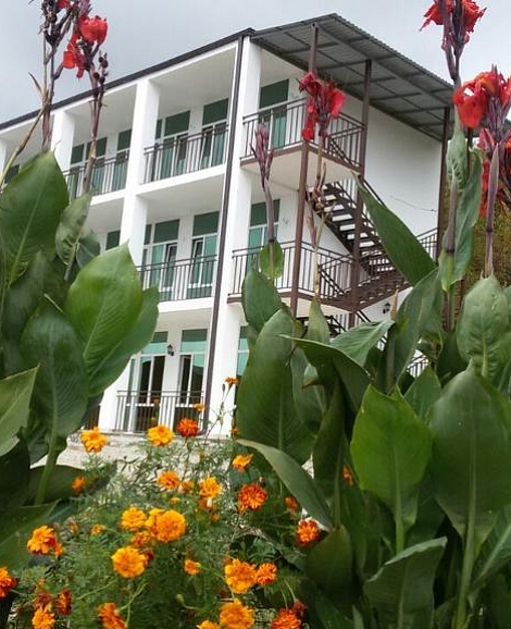 Гостевой дом «Мечта» Пицунда, Лдзаа, Абхазия