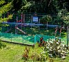 Отель Морская звезда Сочи