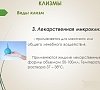 Клизмы, отдых все включено №11