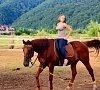 Иппотерапия, отдых все включено №2