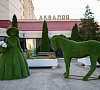 Санаторий «АкваЛоо» Сочи #17