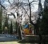 Санаторий «Белоруссия» Ялта, Крым, отдых все включено №16