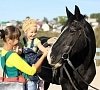 Иппотерапия, отдых все включено №8
