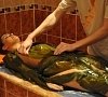 Обертывание (водорослевое, шоколадное, щелковое и т.д.), отдых все включено №7