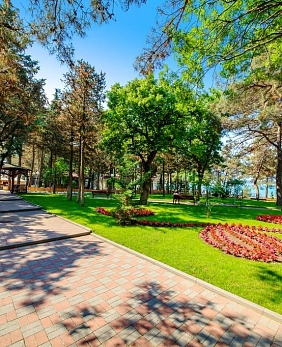 Путевки в санатории Геленджика