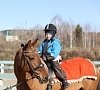 Иппотерапия, отдых все включено №7
