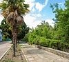 Совиньон Алушта
