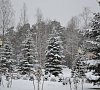 Санаторий «Журавушка» Белоруссия #21