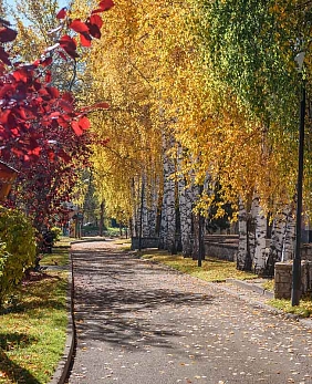 Путевки на Алтай