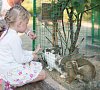 Санаторий «Таврия» Евпатория, Крым, отдых все включено №56