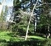 Санаторий «Белоруссия» Ялта, Крым, отдых все включено №25