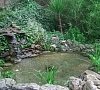 Пансионат «Морской Бриз» Гурзуф, Крым #32