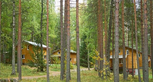 Отель Шишки Карелия - официальный сайт