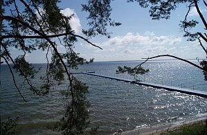 Фотографии объекта
							Санаторий «Журавушка» Белоруссия