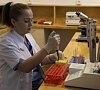 «Gashalti Health Hotel Naftalan» Нафталан (Азербайджан), отдых все включено №31